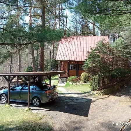 Chata Vsemily Jetrichovice  Exterior photo